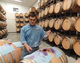 Barrel Tasting Plum Creek Winery