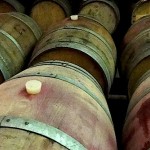 Wine Tasting In Palisade