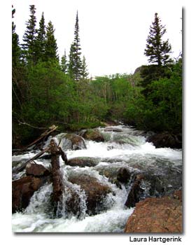 Alberta-Falls-Trail