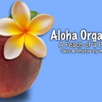 Aloha Organic Fruit Peach Of A Place