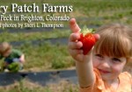 Berry Patch Farms Brighton Colorado