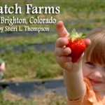 Berry Patch Farms Brighton Colorado