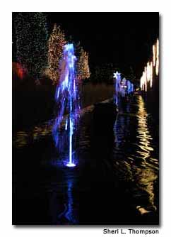 Botanic-Gardens-Blossoms-Of-Light