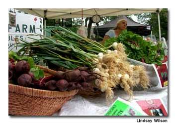 Boulder-Market-Vendors