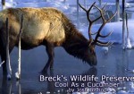 Brecks Wildlife Preserve