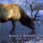 Brecks Wildlife Preserve