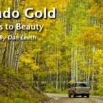 Colorado Gold Back Roads Beauty
