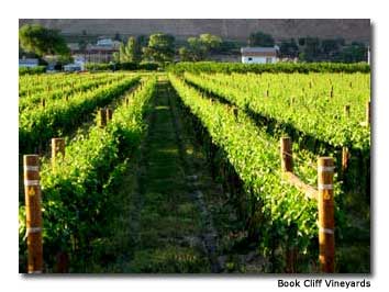 Colorado-Vineyards