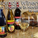 Colorado Winery Row North Denver