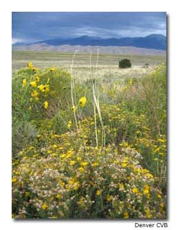 Creeks-Sand-Flats-Wildlife-Preserve