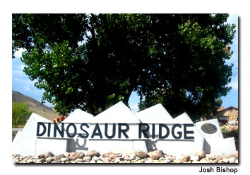 Dinosaur-Ridge-2