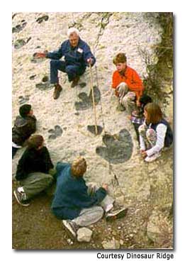 Dinosaur-Track-Wall