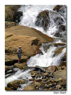 Fly-Fishing-Horseshoe-Falls