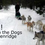 Going To The Dogs In Breckenridge