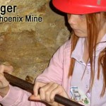 Gold Digger Phoenix Mine