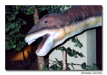 Interactive-Exhibits-Dinosaur-Dig-Excursions