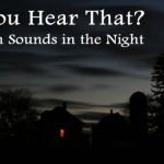 Mountain Sounds In The Night