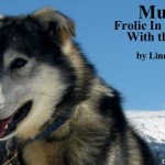 Mush-Frolic-In-The-Snow Mush-Frolic-In-The-Snow