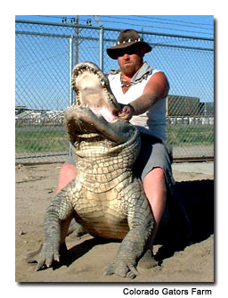 Norris-Retires-Colorado-Gator-Farm
