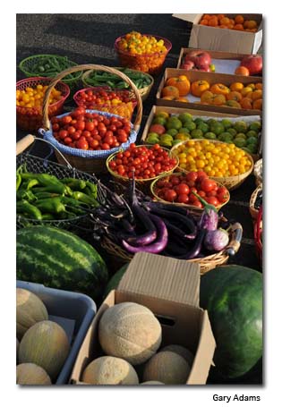 Organic-Veggies-Fruits