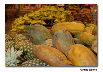 Rancho-Liborio-Fruit-Produce