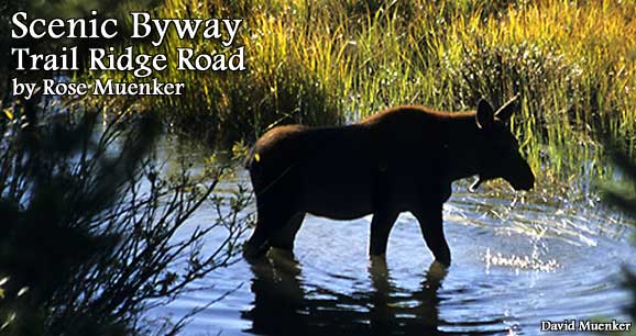 Scenic Byway: Trail Ridge Road