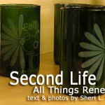 Second Life: All Things Renewable