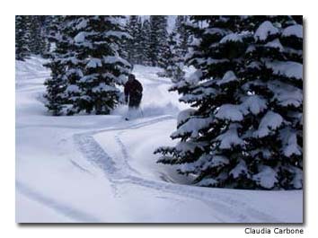 Ski-Area-Wolf-Creek-Pass