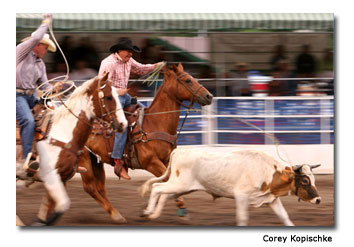 Steamboat-Springs-Pro-Rodeo