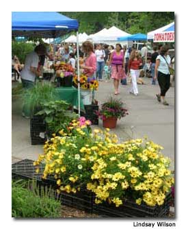 Summer-Market-Flowers-Foods