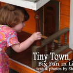 Tiny Town Colorado