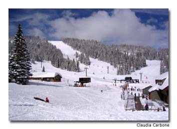 Untracked-Powder-Wolf-Creek-Ski-Area