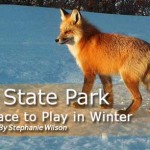 Vega State Park: Play In The Winter