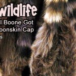 Wily Wildlife Daniel Boone