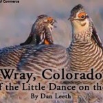 Wray Colorado