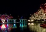 Shed Some Light on Your Holiday at the Botanic Gardens