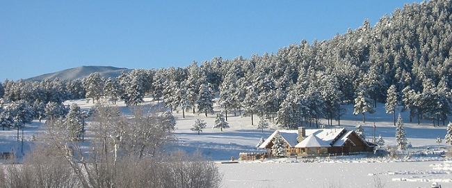 Evergreen Winter Header