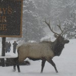 murphy-lodge-slider