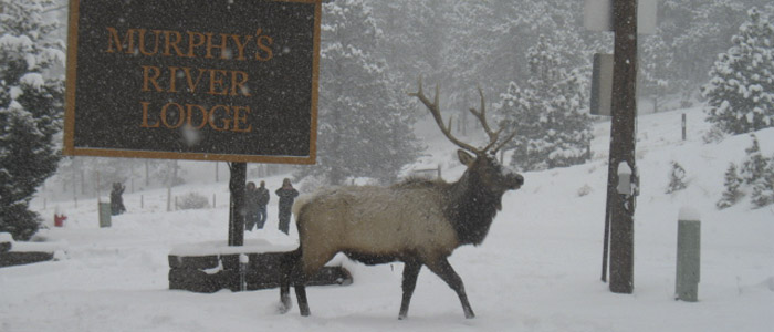 murphy-lodge-slider