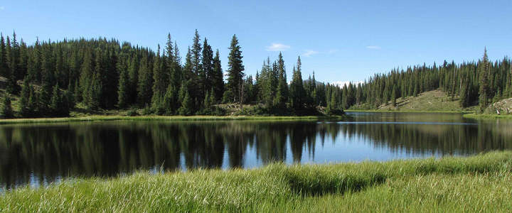 Satiate Your Appetite in Alamosa