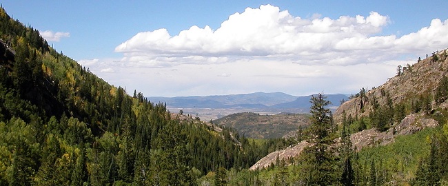 The Alpine Rose: A Hidden Gem in Steamboat Springs