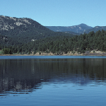 Activities In Evergreen