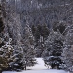 Winter Park Colorado Hotels