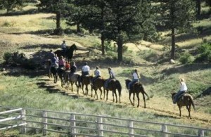 Horseback Trail Ride Horseback Trail Ride