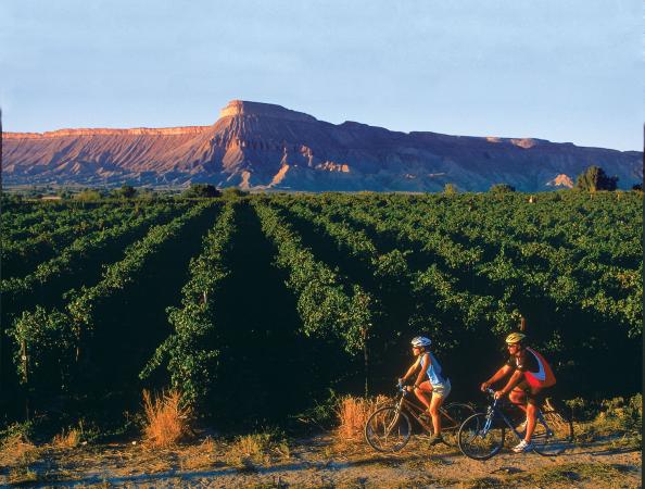 grand junction biking