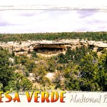 mesa verde festival