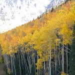 scenic glenwood springs co