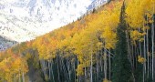 scenic glenwood springs co