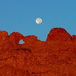 Moon Over Camels