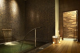 Plunge Pool Plunge Pool